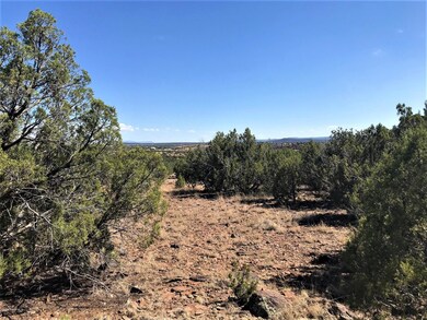 1390 W Joseph Dr, Ash Fork, AZ 86320 - photo 2
