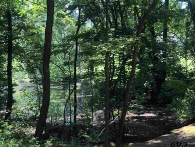 2820 Robertson Rd, Tyler, TX 75701 - photo 7