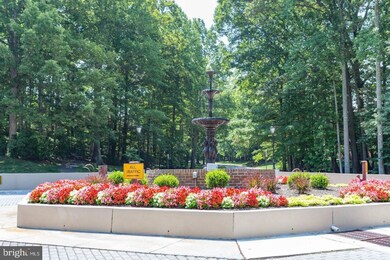 5831 Cove Landing Rd unit 202, Burke, VA 22015 - photo 2