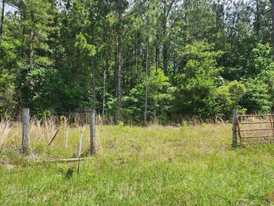 NHN Spring Hill Rd, Poplarville, MS 39470 - photo 5