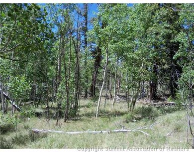 313 Kodiak Rd, Como, CO 80432 - photo 2