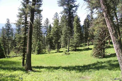 25 Upper Chief Joseph Trail, Big Sky, MT 59716 - photo 4