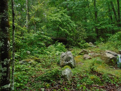 DSC00164