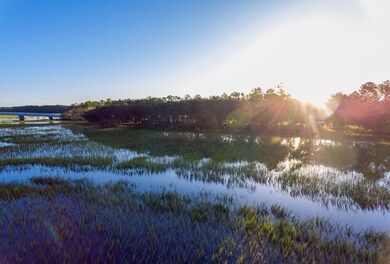 Captains Island Photos (5)