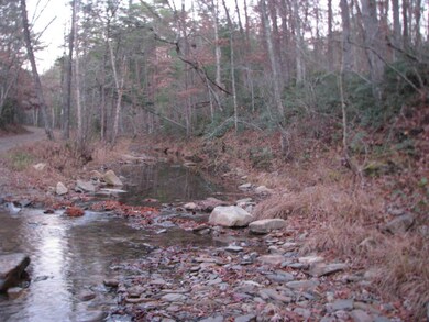 Broad Run 003