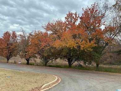 4 Springs Cove Rd, Warrior, AL 35180 - photo 4