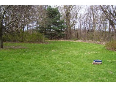 Yard/Garden.