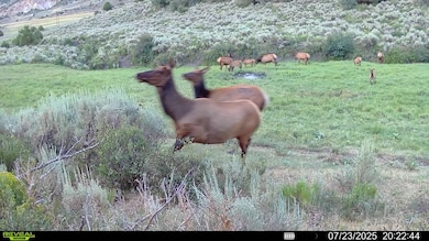 0 Tbd Highway 13 S, Meeker, CO 81641 - photo 2