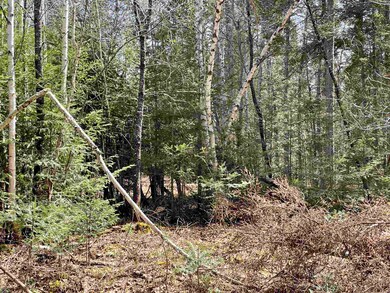 33 Leigh Ln unit 28, Colebrook, NH 03576 - photo 7