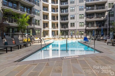 536 W Tremont Ave unit A2, Charlotte, NC 28203 - photo 5