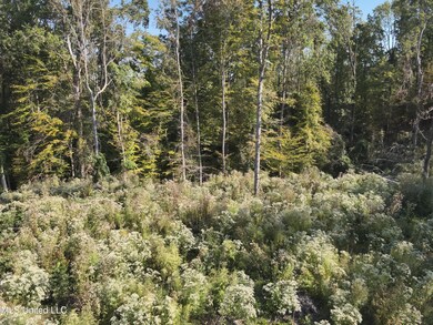 DJI_20241007101408_0026_V