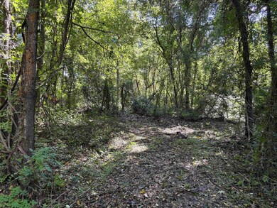 0 Bethuel Rd unit 16, Unincorporated, TN 38053 - photo 3