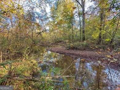 0 Jordon Rd unit 10652075, Waverly Hall, GA 31831 - photo 3