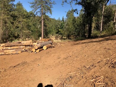 Lot has been partially cleared so you can have an idea where you can build.