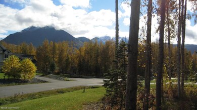 21322 Paula Sue Cir, Chugiak, AK 99567 - photo 5