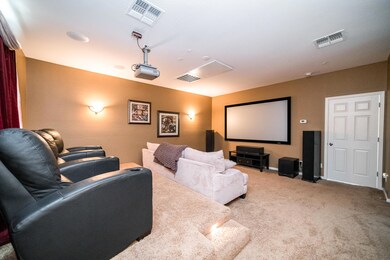 Amazing Theater Room
