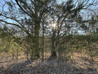 329 Bailey Blvd, Tahlequah, OK 74464 - photo 2