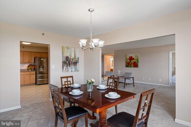 3709 S George Mason Dr unit 406E, Baileys Crossroads, VA 22041 - photo 6