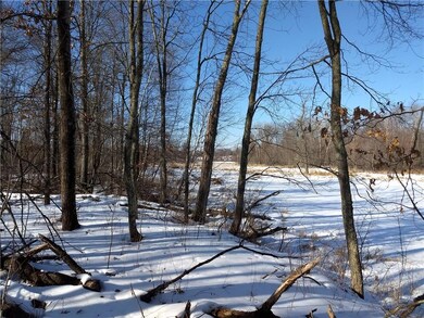 0 Lee Rd unit 1515415, Webster, WI 54893 - photo 3