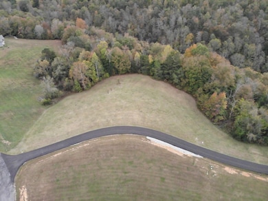 0 Quail Run unit RTC3043048, Byrdstown, TN 38549 - photo 3