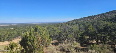 20202016v No Name Rd, Williams, AZ 86046 - photo 2