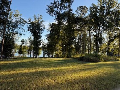 1130 Dockside Dr, Buckhead, GA 30625 - photo 6