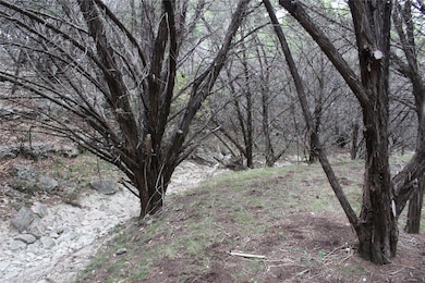 20701 Northland Dr, Lago Vista, TX 78645 - photo 7