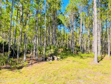 0 Carter Trail unit 1220141, Ormond Beach, FL 32174 - photo 3