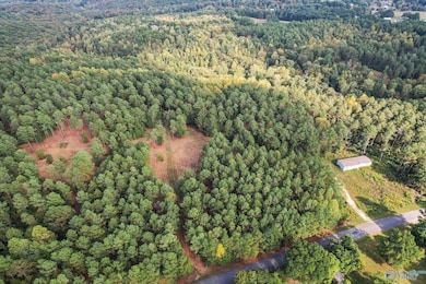 8.9 Acres Davis Gap Rd, Vinemont, AL 35179 - photo 7