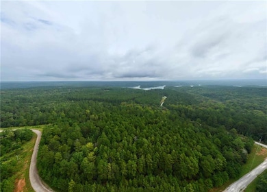 0 Jacks Hat Rd unit 7657227, Elberton, GA 30635 - photo 2