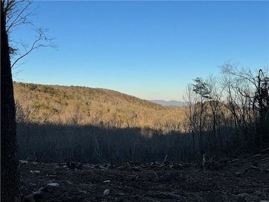 312 Oak Trace E, Jasper, GA 30143 - photo 4