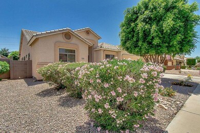 02-905 W Laurel_AZPLUNKETTGROUP