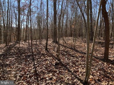 518 Tinderbox Ln, Winchester, VA 22603 - photo 7