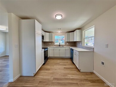 424 N Spring St, Perryville, MO 63775 - photo 4