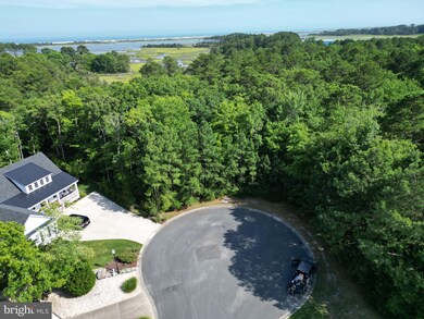 9321 Mountain Laurel Ct, Berlin, MD 21811 - photo 5