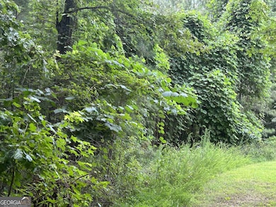 4923 Amsler Rd, Ellenwood, GA 30294 - photo 2