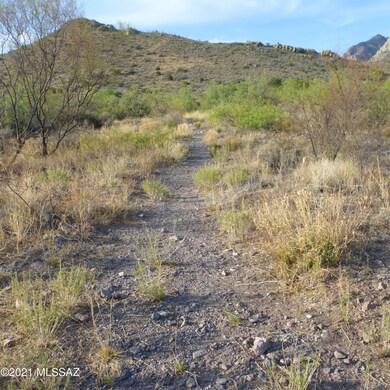 Trail to National Forest
