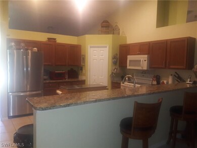 833 Downer Ave S, Lehigh Acres, FL 33974 - photo 6