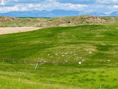 8560 Camp Creek Rd, Manhattan, MT 59741 - photo 4