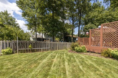 Fenced Yard