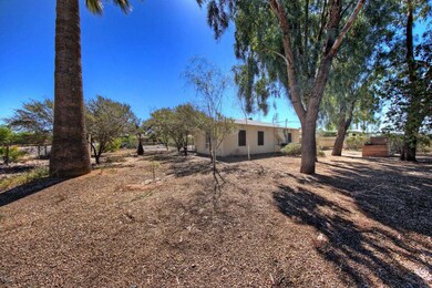 1725EMonteVista002