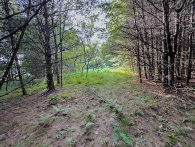 00 Woodsville Rd unit 11, Monroe, NH 03771 - photo 5