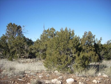 DSCN8322.jpg