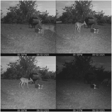 12014 C S Fm 600, Abilene, TX 79601 - photo 6