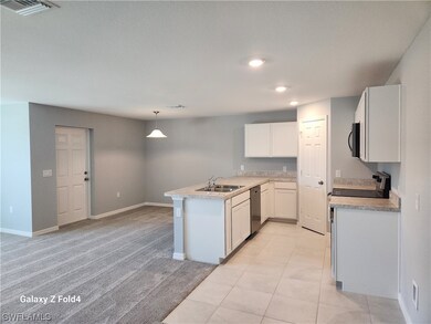 6020 Paula Ave N, Lehigh Acres, FL 33971 - photo 3