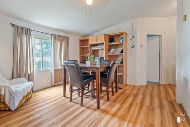 MMP_5976