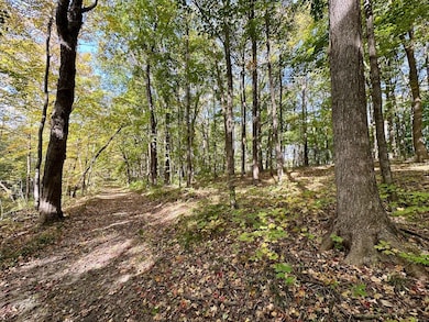 2443 140th St, Galesburg, IL 61401 - photo 7