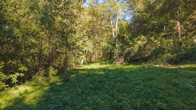 69.26 Acre Wolfe Rd, Sneedville, TN 37869 - photo 6