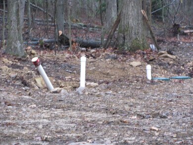 12589 Fisher Rd, Sigel, PA 15860 - photo 5