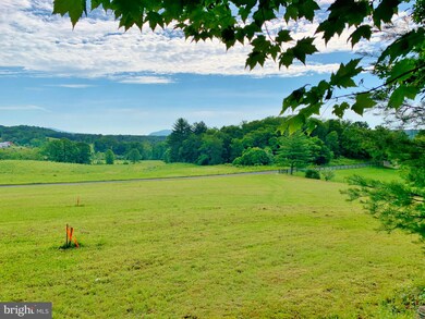 0 Dellinger Gap Rd unit VASH119516, Edinburg, VA 22824 - photo 2